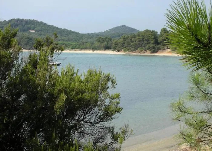 Кемпинг Mobil Confortable Avec Terrasse A - Api-1-52-365 Борм-ле-Мимоза